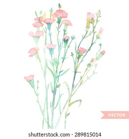 watercolor card with a picture of the clove flower