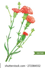 watercolor card with a picture of the clove flowers