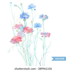 watercolor card with a picture of the cornflower