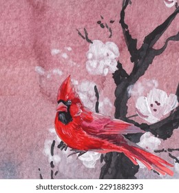 Watercolor Cardinal birds and cherry blossom flowers. Realistic sketch drawing. Watercolor illustration.