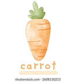 watercolor carrot, carrots vector illustration
