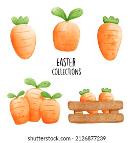 watercolor carrot collection, vector illustration