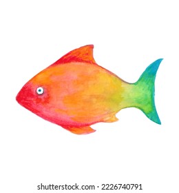 Watercolor cartoon fish. Hand drawn vector illustration of underwater dweller isolated on white background.