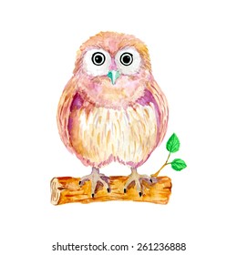 Watercolor cartoon owl sitting on the branch with leaves