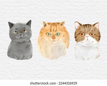 watercolor cat element clip art collection