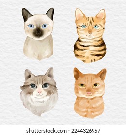 watercolor cat element clip art collection