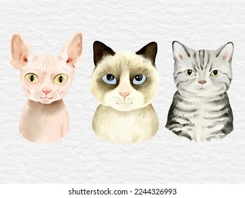 watercolor cat element clip art collection