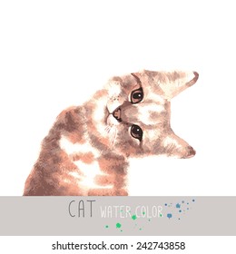 Watercolor Cat - Vector