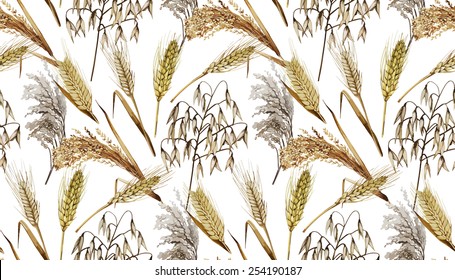 Watercolor cereals. Wheat, millet, barley, rye, oats and rice. Vector seamless pattern