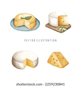 watercolor of cheese collection. Vector illustration