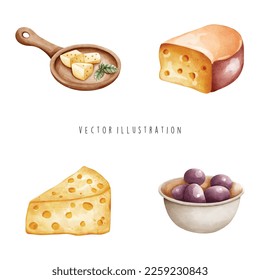 watercolor of cheese collection. Vector illustration