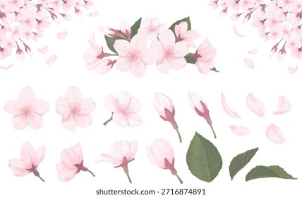 Watercolor cherry blossom element set