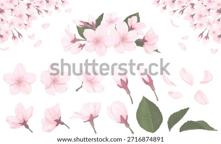 Watercolor cherry blossom element set