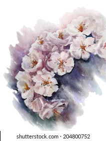 watercolor cherry blossom. Flower painting. Vector EPS 10. 