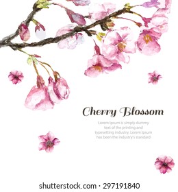 Watercolor cherry blossom. Hand draw cherry blossom sakura branch and flowers. Vector illustrations.