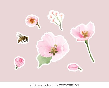 watercolor cherry blossom sticker set