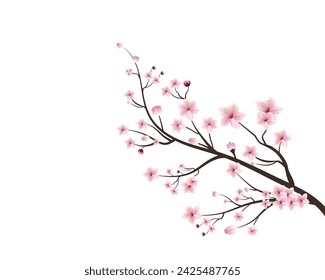 Vector de flor de cerezo. flor de cerezo floreciendo vector rama de flor de cerezo con flor de sakura. Rama con hermosas flores de sakura que caen pétalos composición realista ilustración