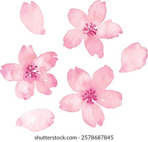 Watercolor cherry blossom vector material set