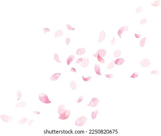 Watercolor Cherry Petals Dancing in the Wind Frame, Background