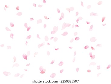 Watercolor Cherry Petals Dancing in the Wind Frame, Background