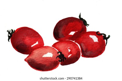 Watercolor cherry tomatoes