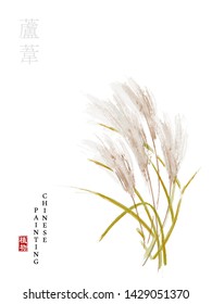 Watercolor Chinese ink paint art illustration nature plant from The Book of Songs reed. Translation for the Chinese word : Plant and reed