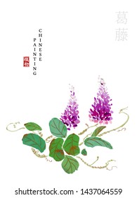 Watercolor Chinese ink paint art illustration nature plant from The Book of Songs Kudzu. Translation for the Chinese word : Plant and Kudzu
