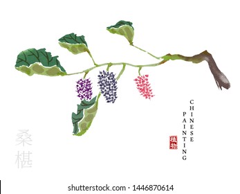 Watercolor Chinese ink paint art illustration nature plant from The Book of Songs Mulberry. Translation for the Chinese word : Plant and Mulberry