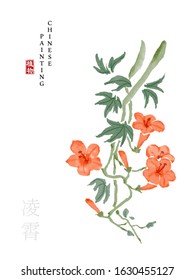 Watercolor Chinese ink paint art illustration nature plant from The Book of Songs Chinese trumpet creeper. Translation for the Chinese word : Plant and Chinese trumpet creeper