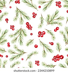 Watercolor Christmas design branches with holly berries and spruce. Seamless pattern winter fir background