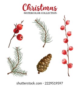 Watercolor Christmas Elements Hand drawn Botanical Set Berry Pine 