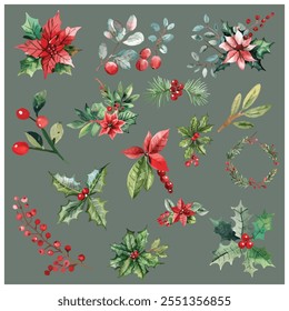 Watercolor Christmas Floral Elements with Holly and Poinsettia on Green Background