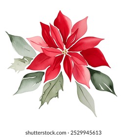 Watercolor Christmas flower. Poinsettia flower with leaves. Red flower illustration