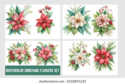 aquarela flores de Natal conjunto isolado do fundo branco