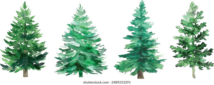 Watercolor Christmas green trees. Spruce and holiday tree. Hand-drawn illustration.