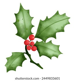 Watercolor Christmas holly berry branch with red berries. Vector illustration.