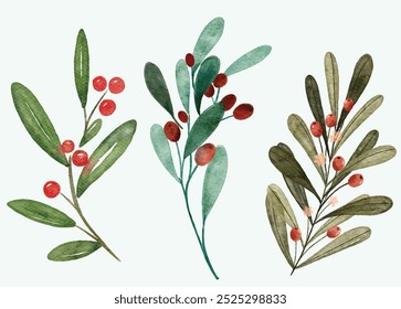 watercolor christmas mistletoe for winter decoration