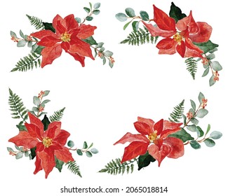 watercolor christmas poinsettia flower bouquet elements collection  digital painting