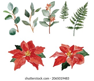 watercolor christmas poinsettia flower bouquet elements collection  digital painting