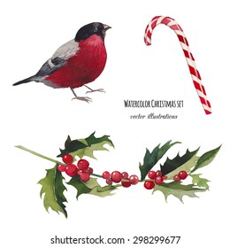 Watercolor Christmas set. Hand drawn bullfinch bird, striped candy and mistletoe branch isolated on white background. Vintage vector objects collection for holiday design