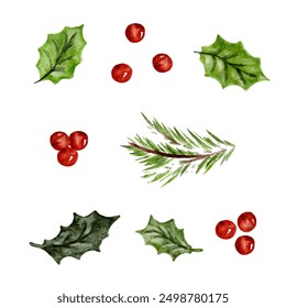 Watercolor Christmas set holly berries and green leaves, fir twigs design elements cut out from white background