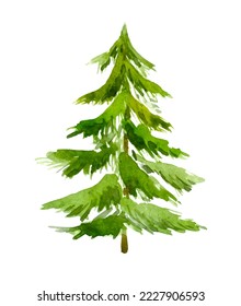 Watercolor Christmas tree. Hand drawn illustration isolated on the white background