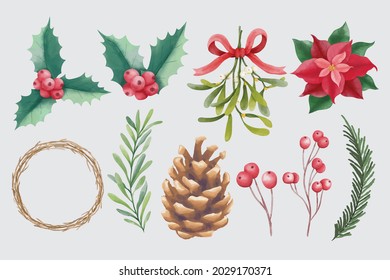 Watercolor christmas and winter floral elements