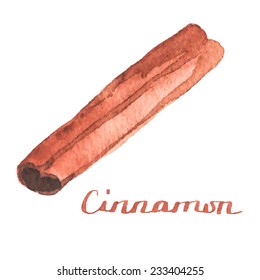 Watercolor cinamon on the white background, aquarelle.  Vector illustration. Hand-drawn spice for mulled wine or cooking. Useful for invitations, scrapbooking, design.