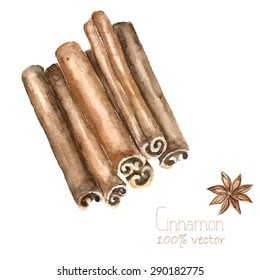 Watercolor cinnamon and anise. Hand draw cinnamon illustration. Herbs vector object isolated on white background. Kitchen herbs and spices banner.