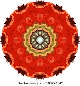 Watercolor circle. Mandala pattern. Vector colourful background.   