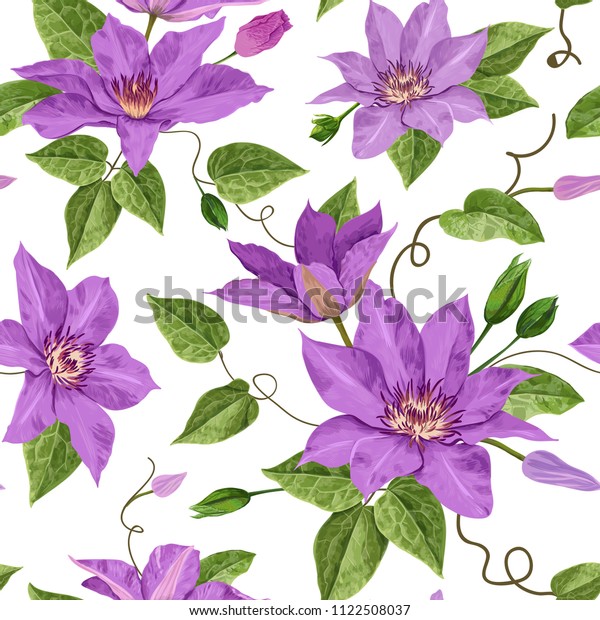 水彩クレマチス花 壁紙 印刷物 布地 繊維用の花柄の熱帯のシームレスなパターン 夏の背景に花が咲く紫の花と葉 ベクターイラスト のベクター画像素材 ロイヤリティフリー