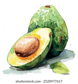 Watercolor clipart of Avocado, isolated on a white background, Avocado vector