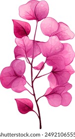 Aquarell Clipart Bougainvillea Blume lila und rosa Farbe