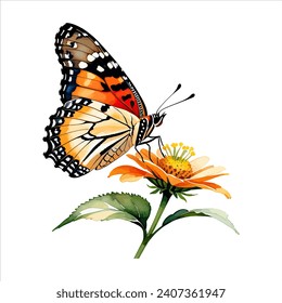 Watercolor Clipart Painted Lady Butterfly on Flower Illustration